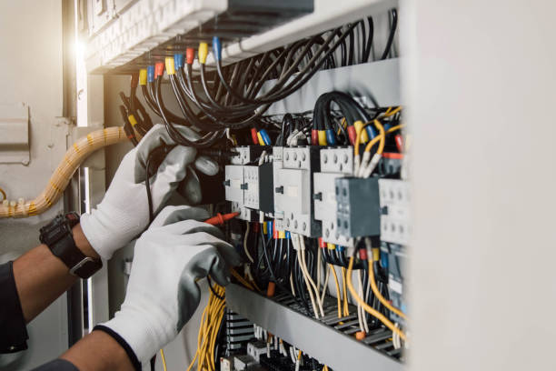 Best Electric Panel Repair  in Mustang Ridge, TX